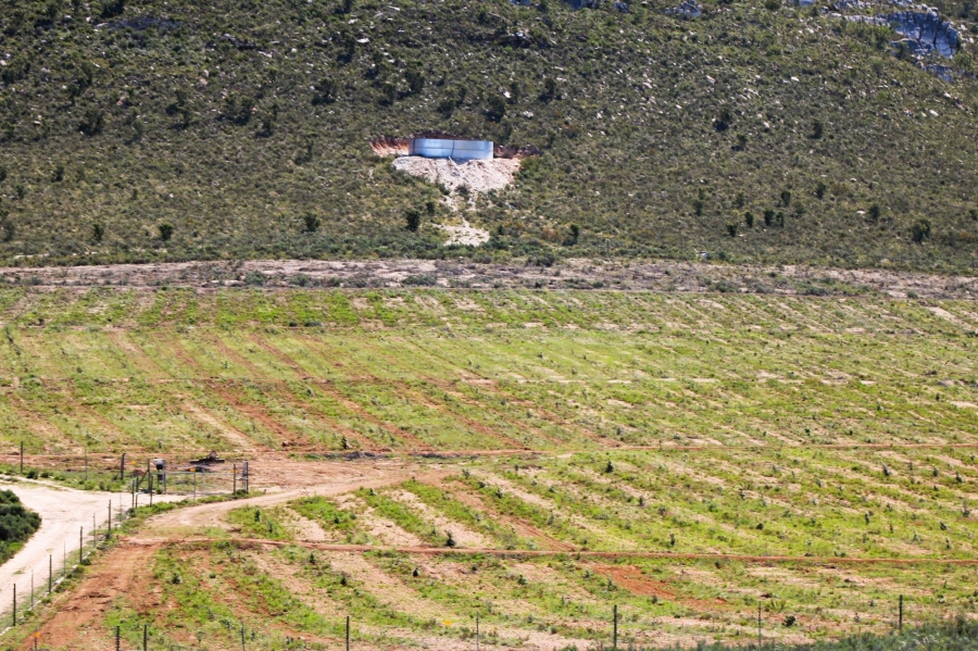 0 Bedroom Property for Sale in Uniondale Rural Western Cape
